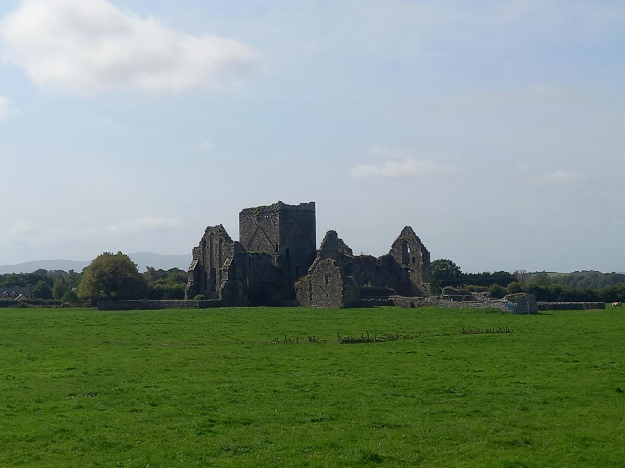 Kitty'S Cottage - Horse And Jockey, Cashel Thurles Exterior photo